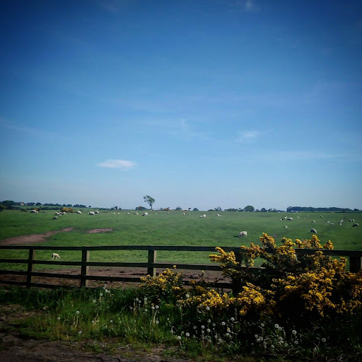 A68 Crossing - Visual