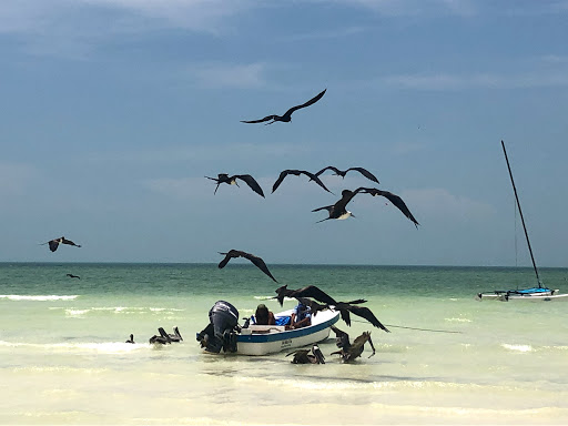 Kayak Center Holbox - Thumbnail