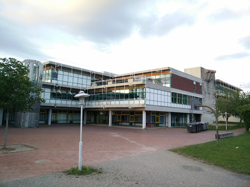 Albertus-Magnus-Gymnasium Ettlingen
