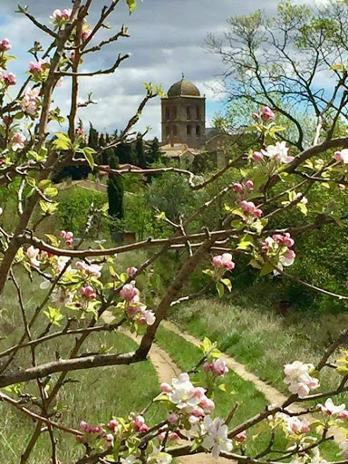 Vigneron.Club 3.0 Gallery - France