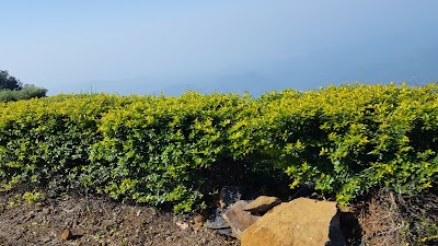 Photos of Greenfield Bio Plantations