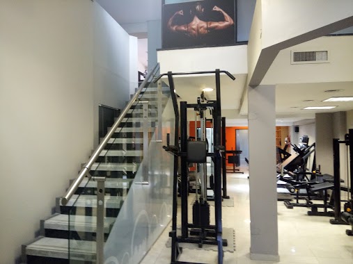 Progress Gym, Author: Roxana Albornoz