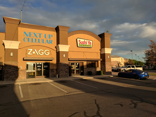 ZAGG Cache Valley - Visual