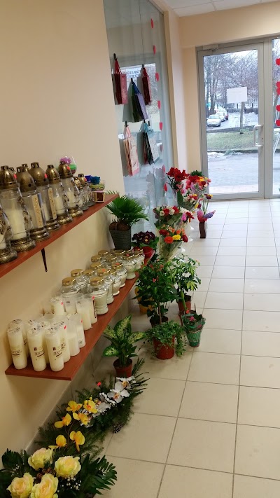 Photos of IKI - Žuvintas
