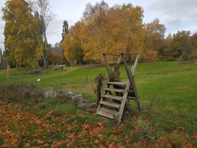 Naturhistoriska riksmuseet