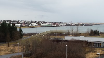 Photos of Landsp&iacute;tali Fossvogi