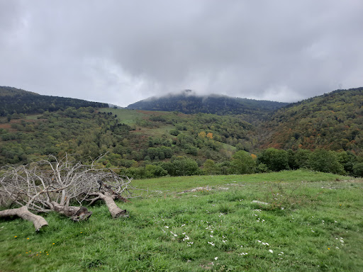 Can Pastoret - Thumbnail
