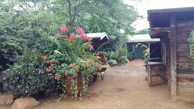 Photos of David Sheldrick Elephant & Rhino Orphanage