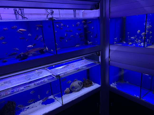 Creature Comforts & Aquatic Centre - Shop