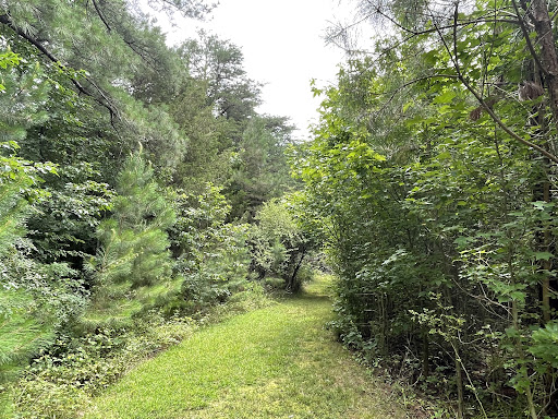 Parking: St. Mary River State Park