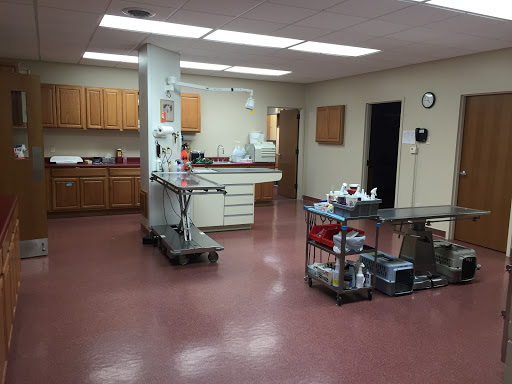 Animal Hospital of Monticello - Thumbnail