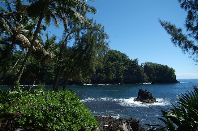 Hawaii Tropical Botanical Garden