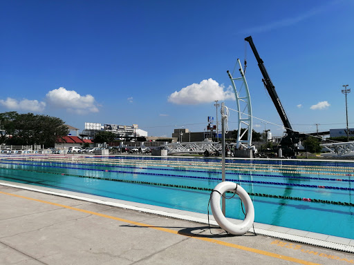 Olympic pool SAHOP - Visual