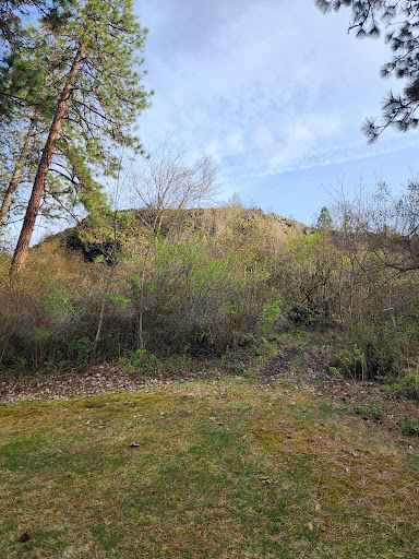 Cliff Park - Visual