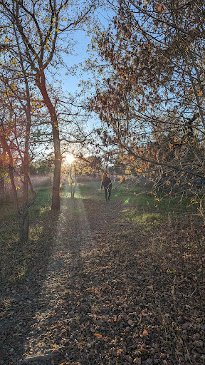 Laguna Uplands Preserve - Thumbnail