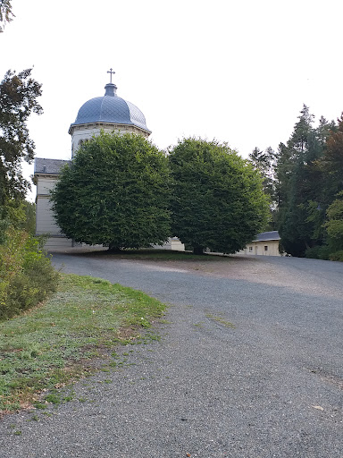 Ostfriedhof Gera - Visual