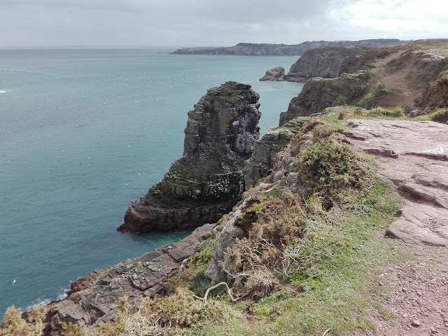 Cap Fréhel