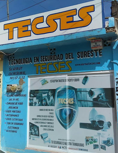 TECSES SEGURIDAD ELECTRONICA MATRIZ Logo