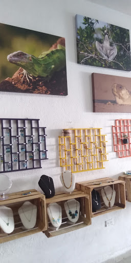 Galería Mex-ECO - Thumbnail