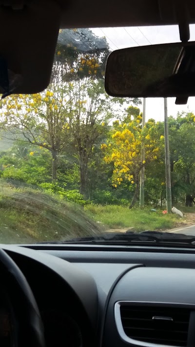 Photos of Coltabaco