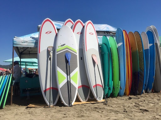 Mentally Surfing In Sayulita