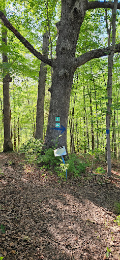 Deer Creek State Park Marsh Walk Trailhead - Thumbnail