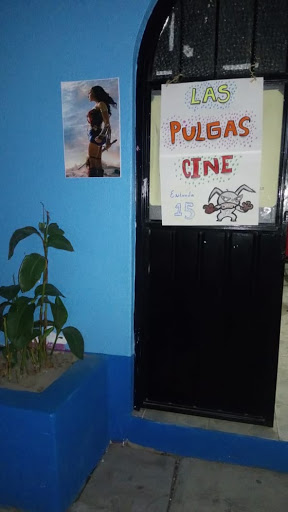 Cine las pulgas - Mexico