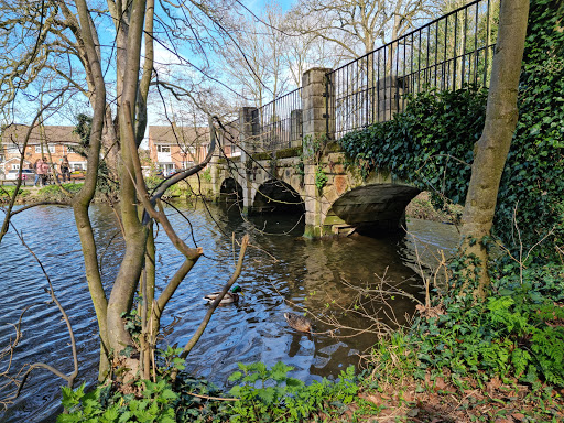 Brook Hollows - Thumbnail