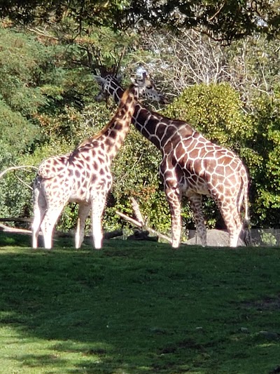 Woodland Park Zoo