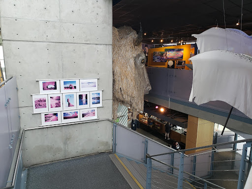 George Eccles Museum - Visual