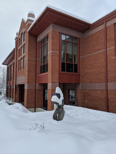 Goodnow Library - Visual
