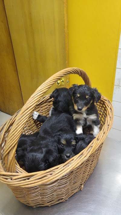 Photos of Centro Veterinario Tabancura