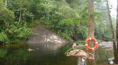 Photos of Sinharaja Adventure Resort