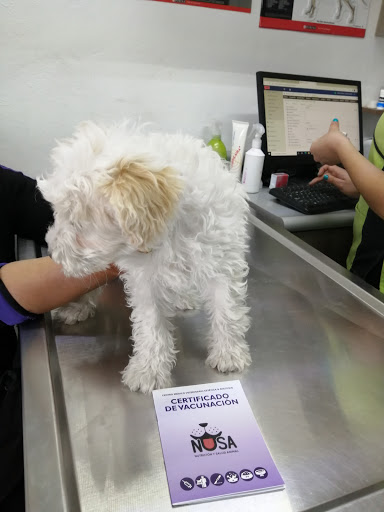 NUSA(Nutrición y Salud Animal) Centro Médico Veterinario