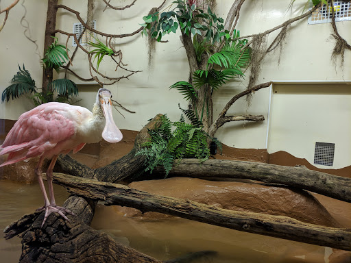 ZooAmerica - Visual