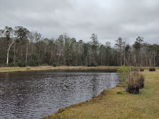 Magnolia Sands RV Park - Thumbnail