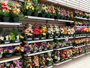 Photo n°3 de B&M à Bourges (Magasin de jouets)