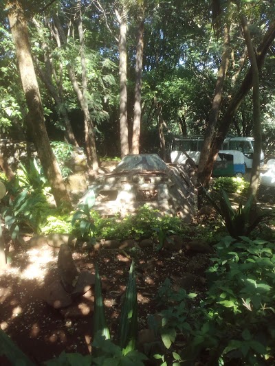 Photos of Abay Minch Lodge