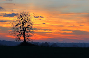 Photo n°9 de Brenne & Berry à Lingé (Chambre d'hôtes)