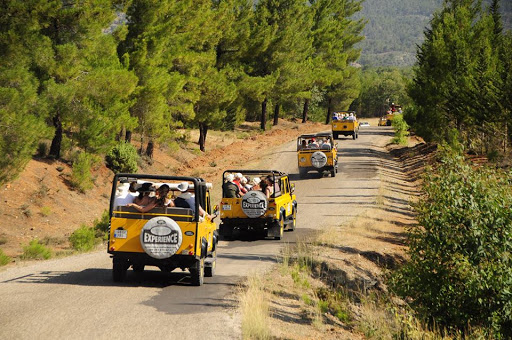Evergreen Seyahat Acentesi ( Evergreen Travel )