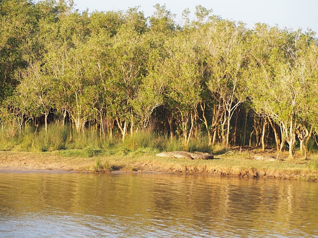 iSimangaliso Wetland Park