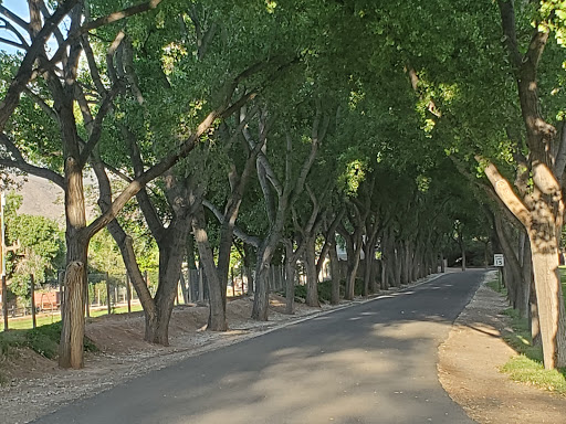 Corrales Veterinary Clinic