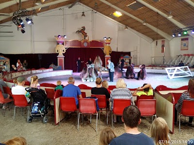 Photos of Cirkusland