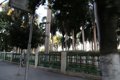 Photos of Farag garden