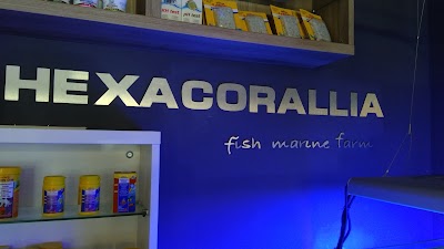 Photos of Hexacorallia