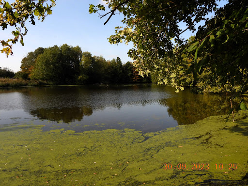 Karthäuser Silbersee - Thumbnail
