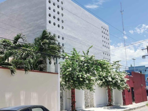 Lic. Janeth Chávez Magdaleno, Psicólogo