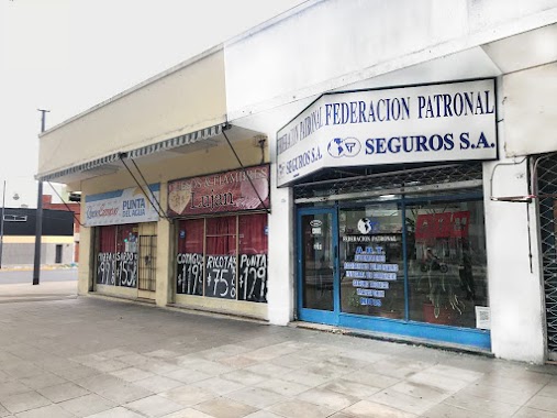 Federacion Patronal Seguros S.A., Author: Organización Angeli e hijos