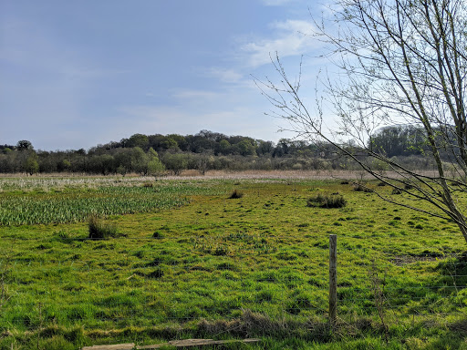 NWT Rushmeadows - Visual