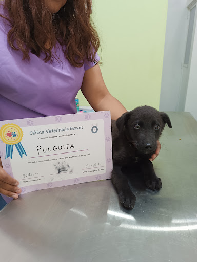 Clínica Veterinaria BIOVET